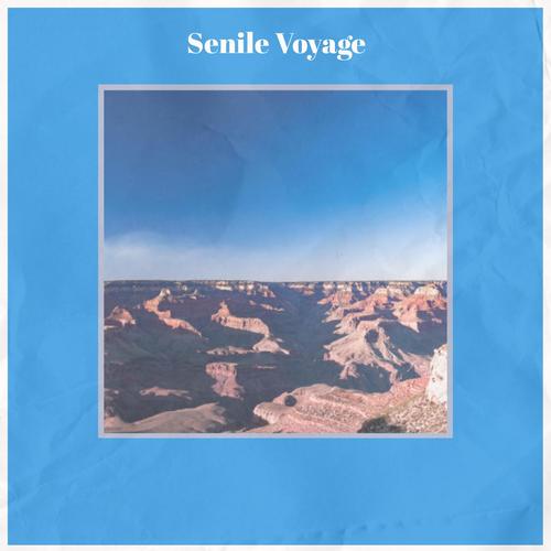 Senile Voyage