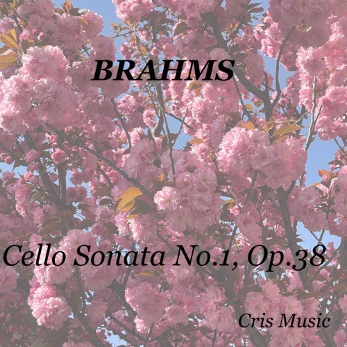 Brahms: Cello Sonata No.1, Op.38