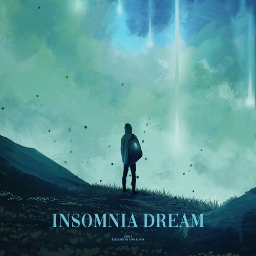 insomnia dream