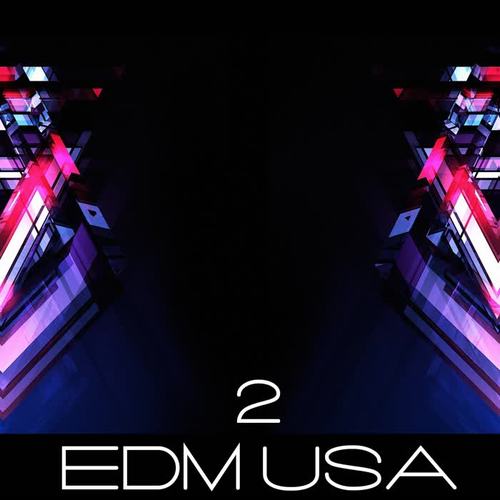 Edm USA, Vol. 2