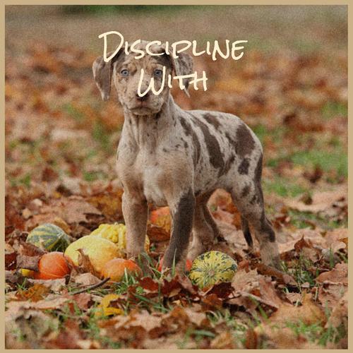 Discipline With