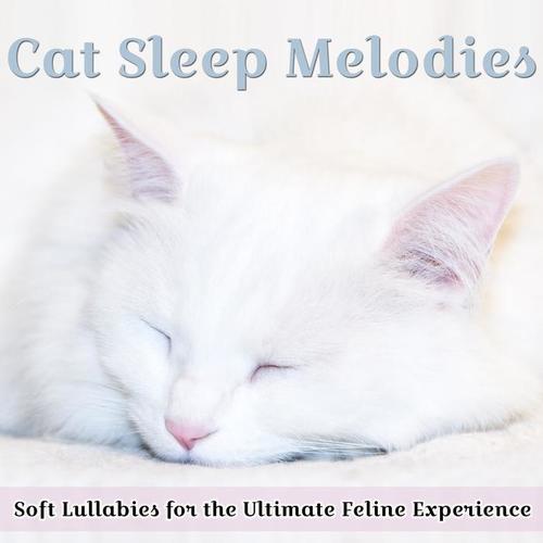 Cat Sleep Melodies: Soft Lullabies for the Ultimate Feline Experience