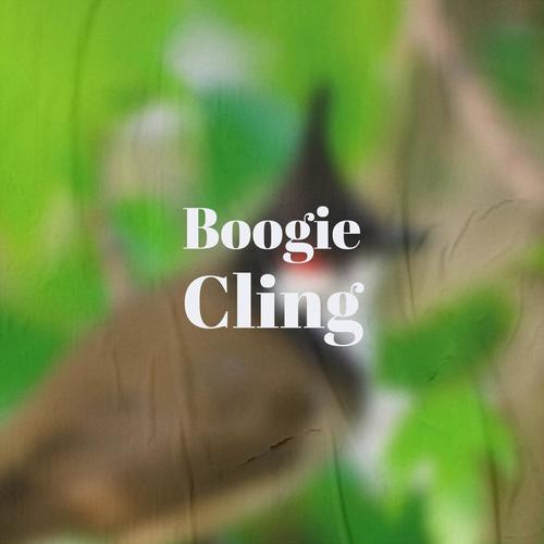 Boogie Cling