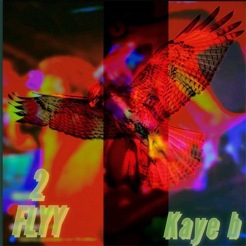 2 FLYY (Explicit)