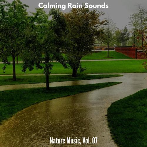 Calming Rain Sounds - Nature Music, Vol. 07