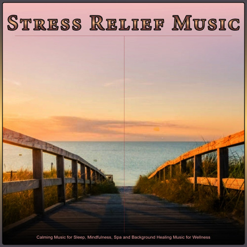 Stress Relief Music: Calming Music for Sleep, Mindfulness, Spa and Background Healing Music for Wellness