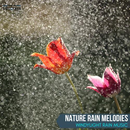 Nature Rain Melodies - WindyLight Rain Music