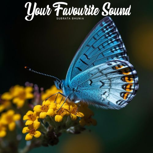 Your Favourite Sound