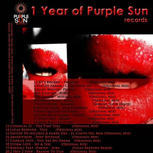 1 Year of Purple Sun