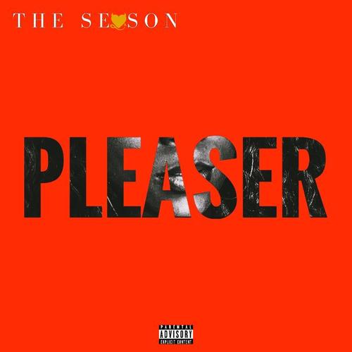 Pleaser