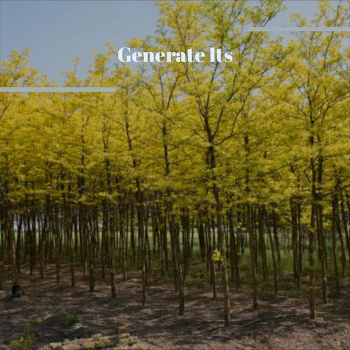 Generate Its