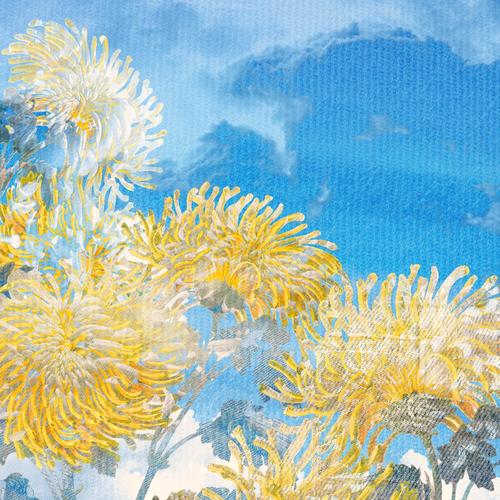 TEXTILE (Explicit)