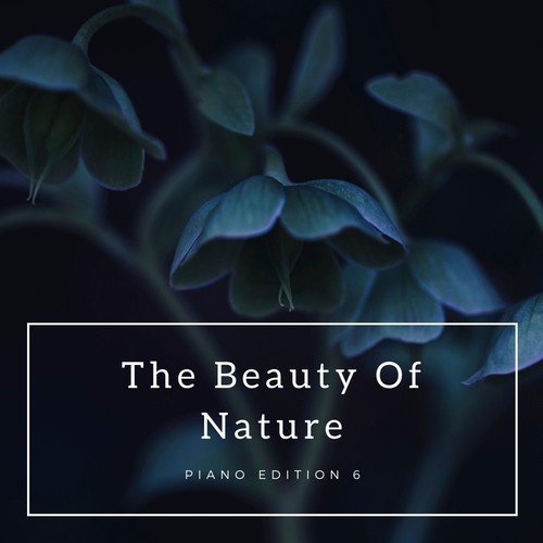 The Beauty of Nature (Piano Edition 6)