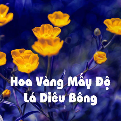 Hoa vàng mấy độ