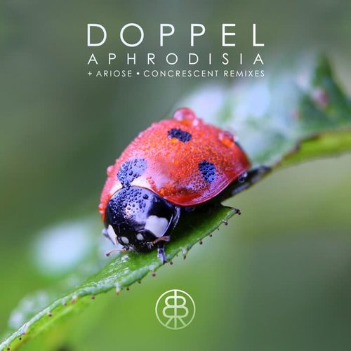 Aphrodisia