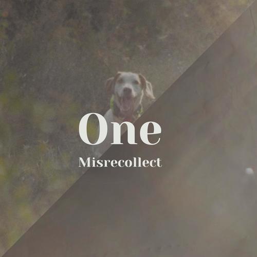 One Misrecollect