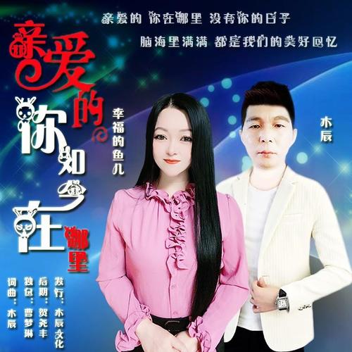 亲爱的你如今在哪里(对唱版）