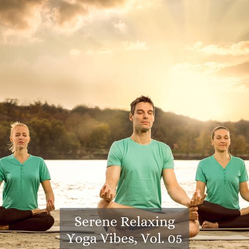 Serene Relaxing Yoga Vibes, Vol. 05