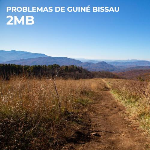 Problemas De Guiné Bissau