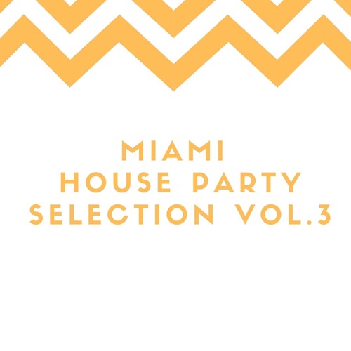 Miami House Party Selection Vol.3