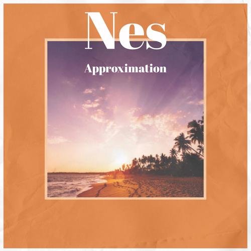 Nes Approximation