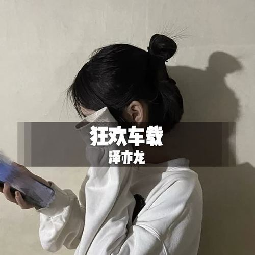 狂欢车载