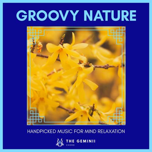 Groovy Nature - Handpicked Music For Mind Relaxation