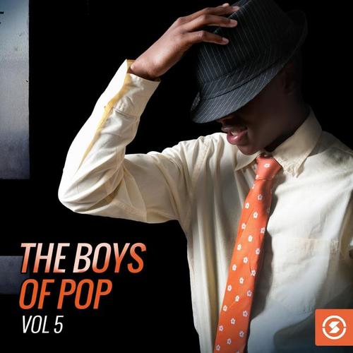 The Boys of Pop, Vol. 5