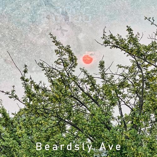 Beardsly Ave