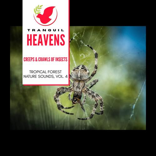 Creeps & Crawls of Insects - Tropical Forest Nature Sounds, Vol. 4