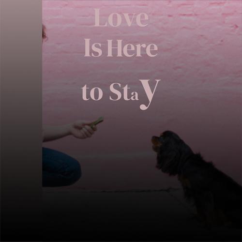 Love Is Here to Stay