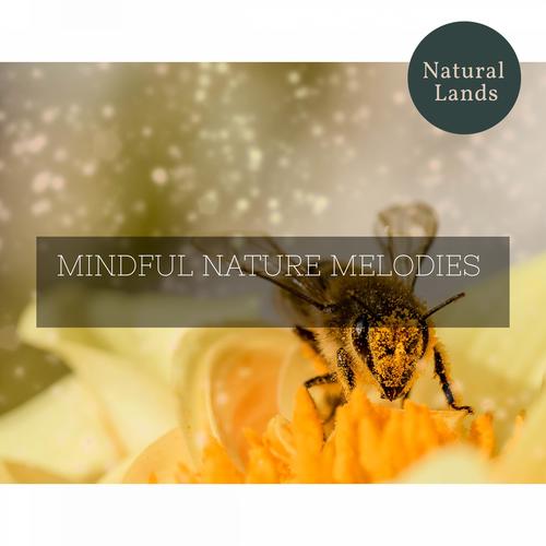 Mindful Nature Melodies