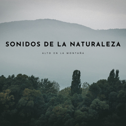 Sonidos De La Naturaleza: Alto En La Montaña