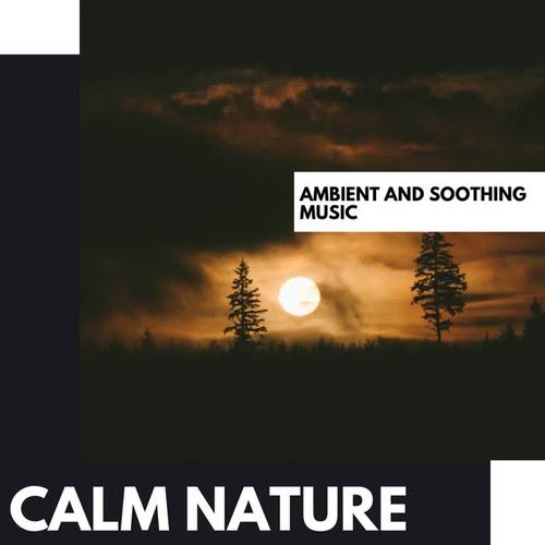 Calm Nature: Ambient and Soothing Music