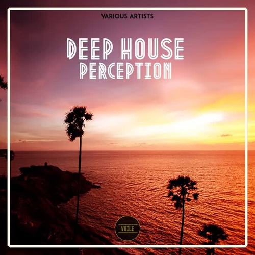 Deep House Perception