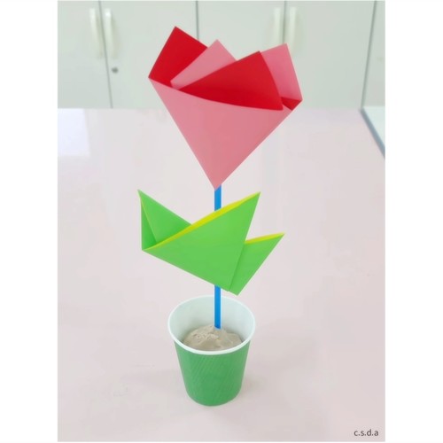 한국에서 태어난  7인조 남자 아이돌