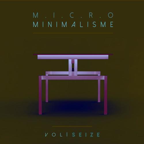 Micro Minimalisme Vol. Seize