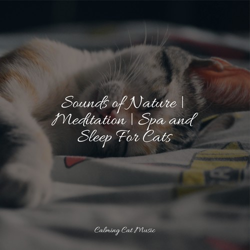 Sounds of Nature | Meditation | Spa and Sleep For Cats