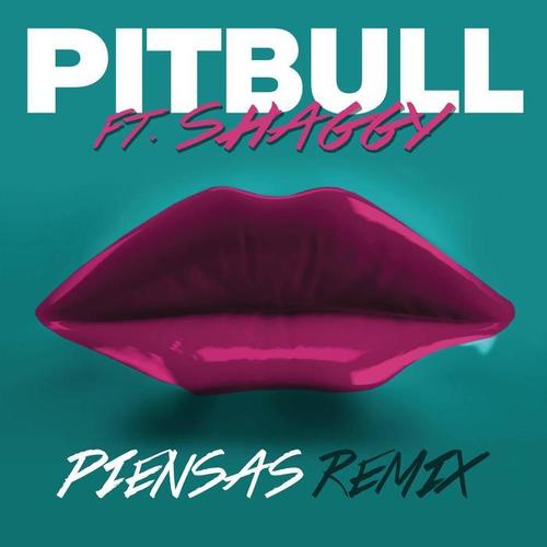 Piensas (Dile la Verdad) [Remix]