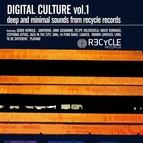 Digital Culture Vol. 1