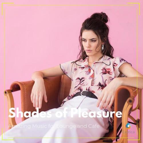 Shades of Pleasure: Amazing Music for Lounge and Cafe