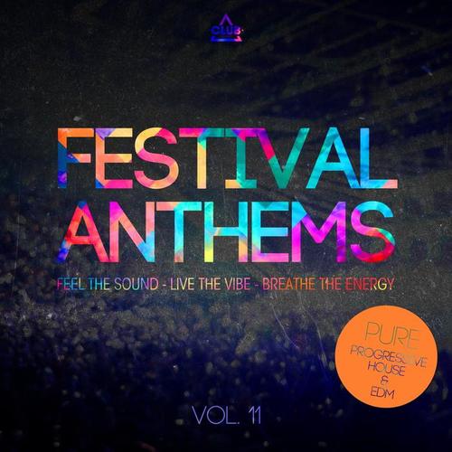 Festival Anthems, Vol. 11