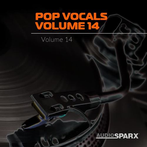 Pop Vocals Volume 14