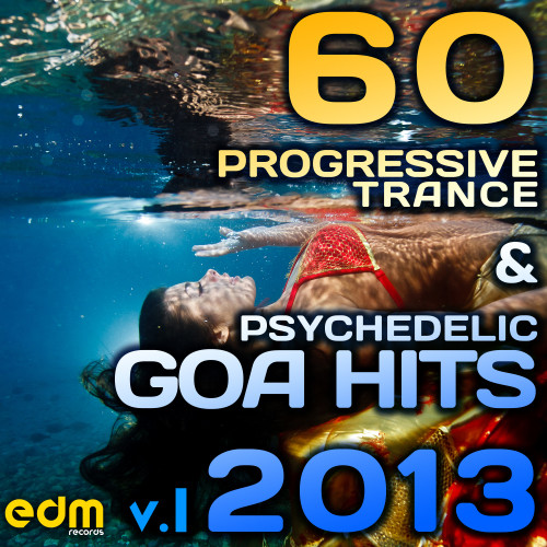 60 Progressive Trance & Psychedelic Goa Hits 2013, Vol .1 (Best of Hard Dance, Acid House, Techno)