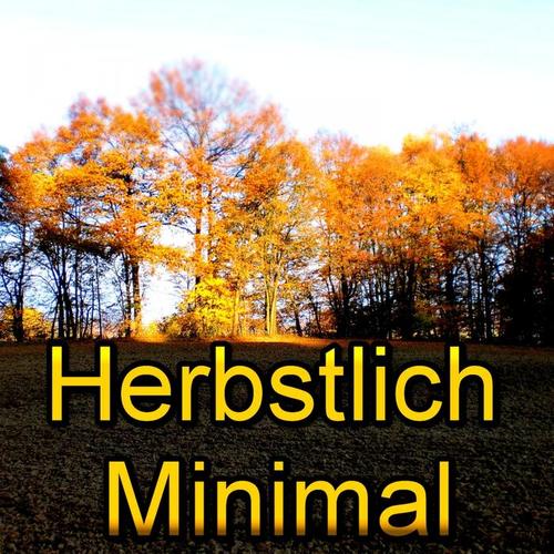 Herbstlich Minimal (30 Minimal Autumn Tracks)