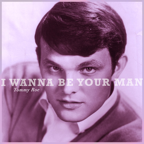 I Wanna Be Your Man