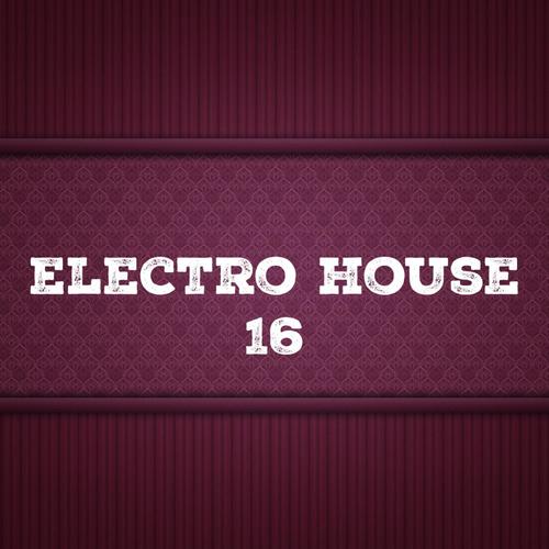 Electro House, Vol. 16