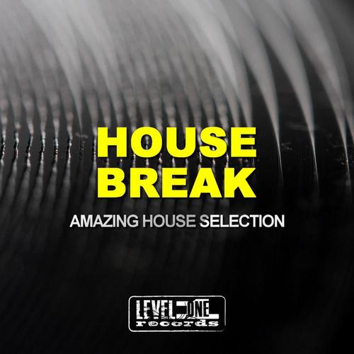 House Break (Amazing House Selection)