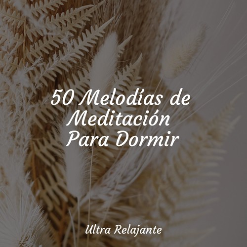 50 Melodías de Meditación Para Dormir