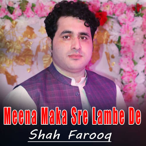 Meena Maka Sre Lambe De - Single